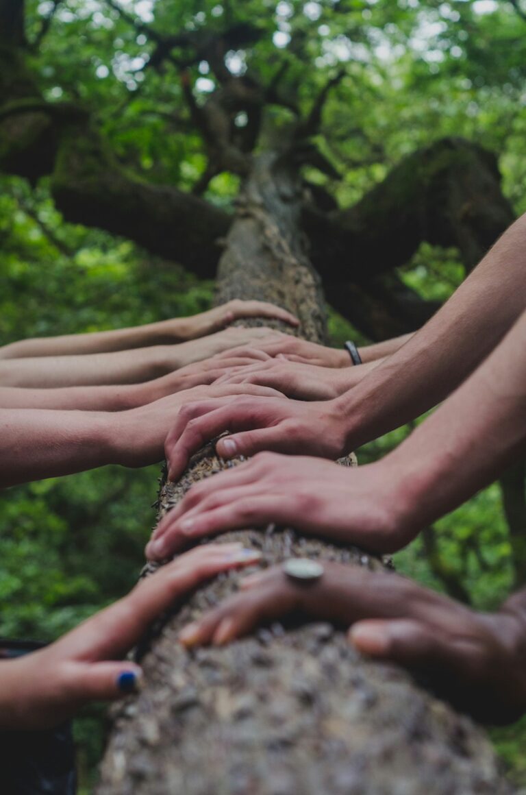 a group of hands on a tree symbolizing group support